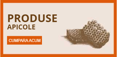 produse apicole casuta cu miere